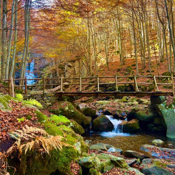 Foliage alle Cascate del Dardagna - immagine 6