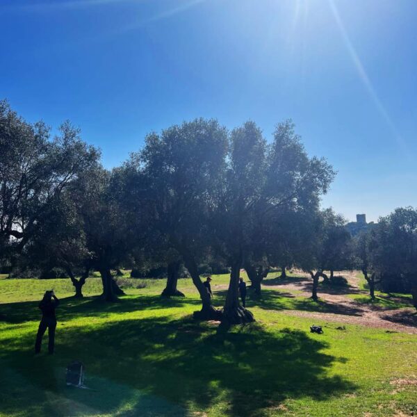 Immersione nel Parco della Maremma - immagine 3