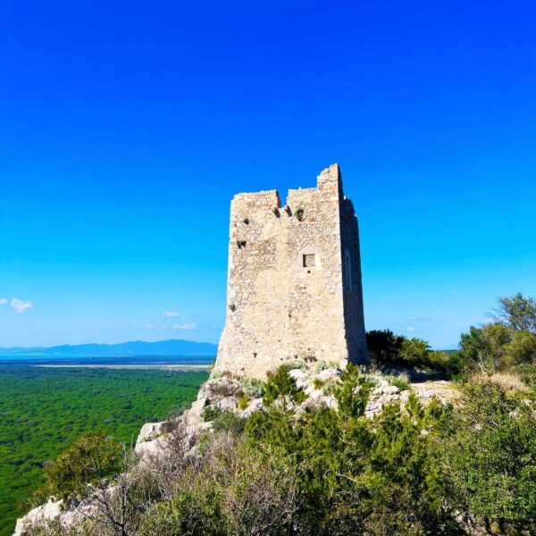 Immersione nel Parco della Maremma - immagine 2