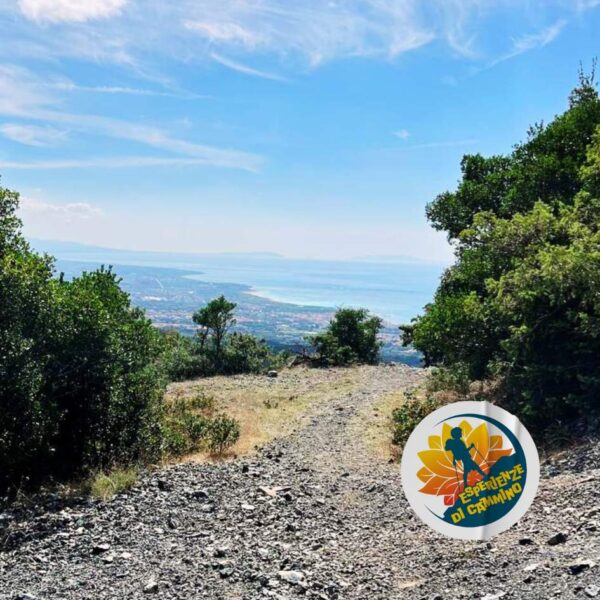 Monte Pelato Vista Mare