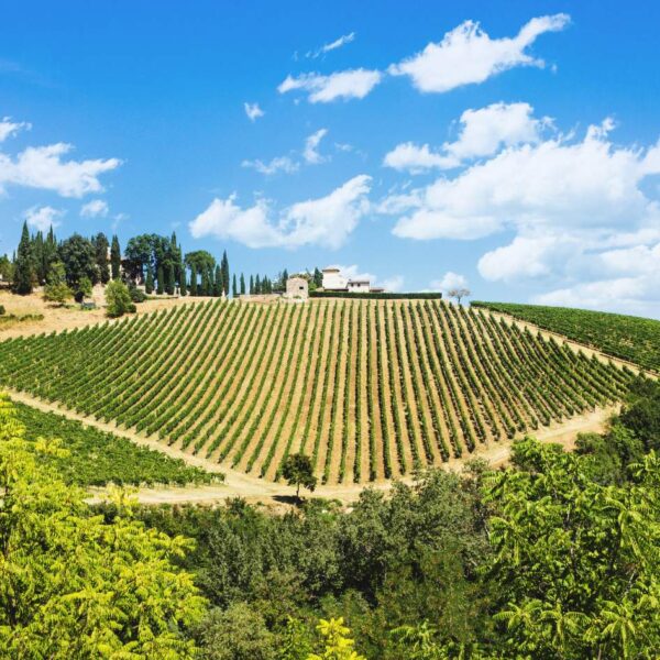 Anello dei Castelli del Chianti - immagine 2