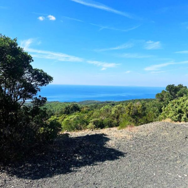 Monte Pelato Vista Mare - immagine 2