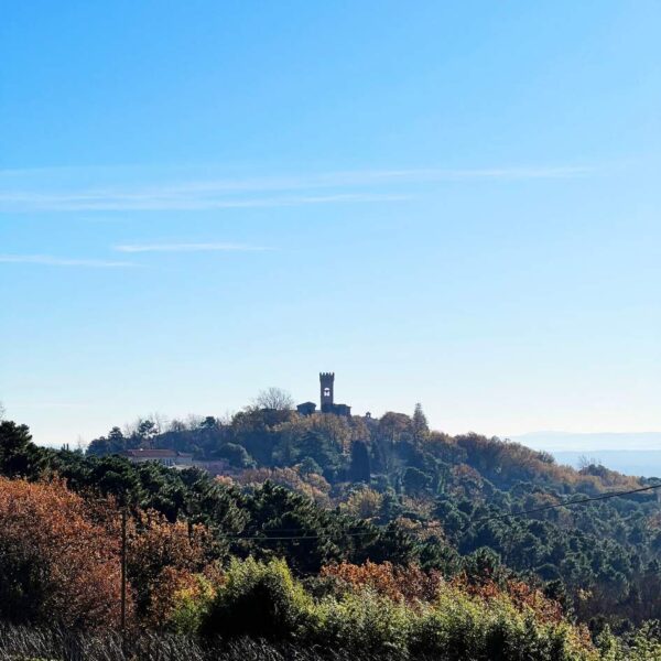 Avventura alla Quercia delle Streghe - immagine 2