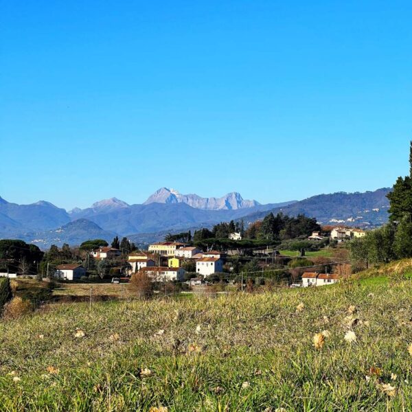 Avventura alla Quercia delle Streghe - immagine 3