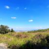 Monte Pelato Vista Mare - immagine 5
