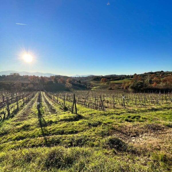 Avventura alla Quercia delle Streghe - immagine 4