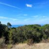 Monte Pelato Vista Mare - immagine 4