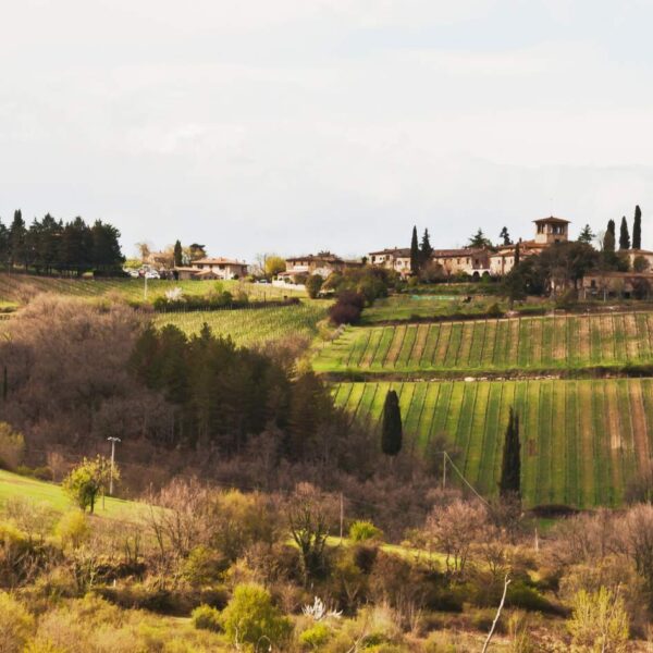 Anello dei Castelli del Chianti - immagine 4