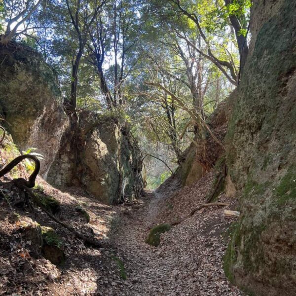 Il Cammino dei Tre Vilaggi - immagine 9