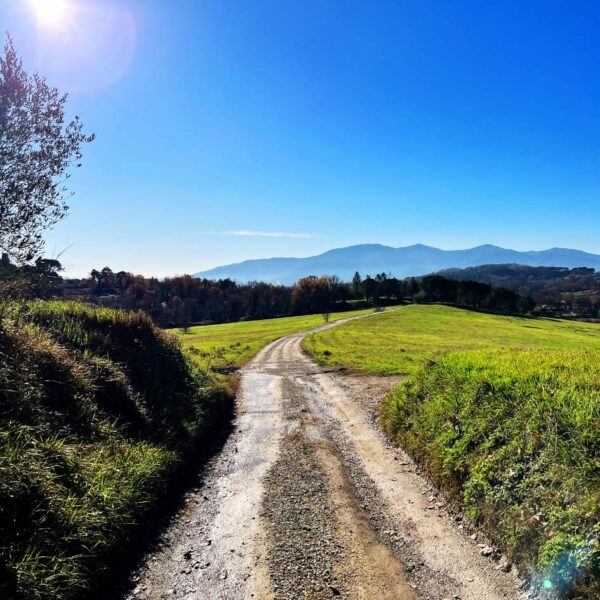 Avventura alla Quercia delle Streghe - immagine 8