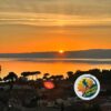 Il Cammino Dell'Intrepido Larth - immagine 7