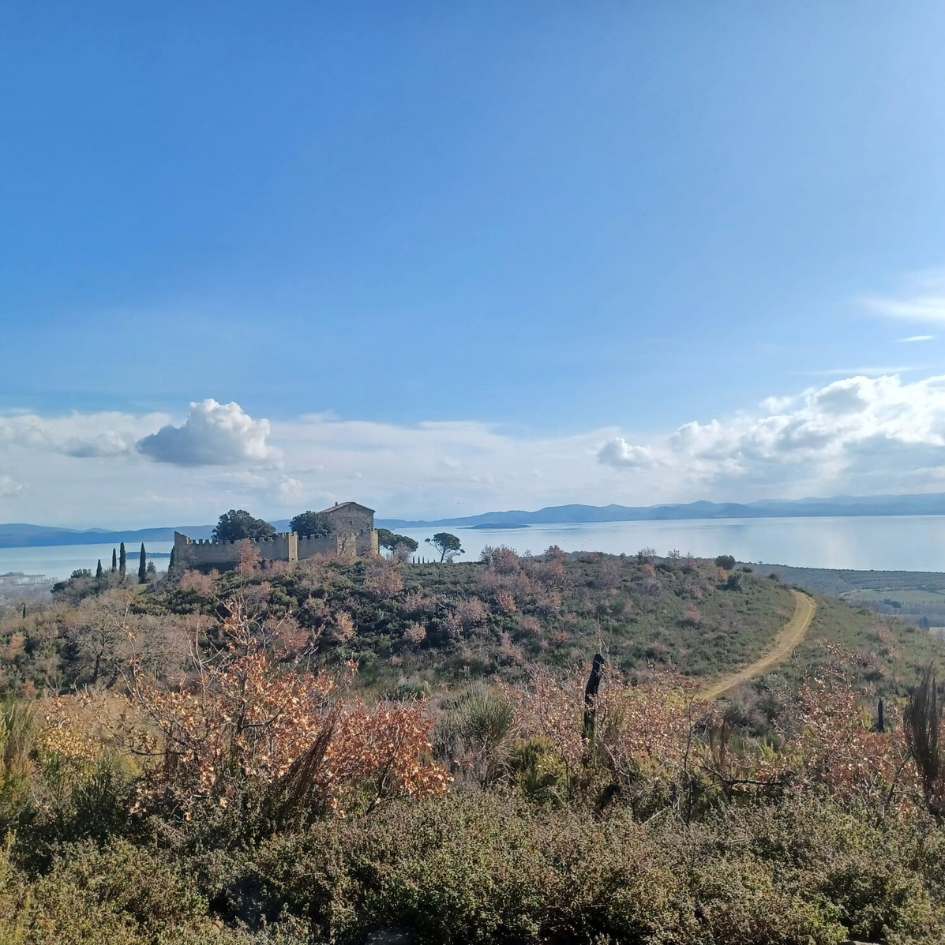 Emozioni sotto l'Albero sul Lago - immagine 2