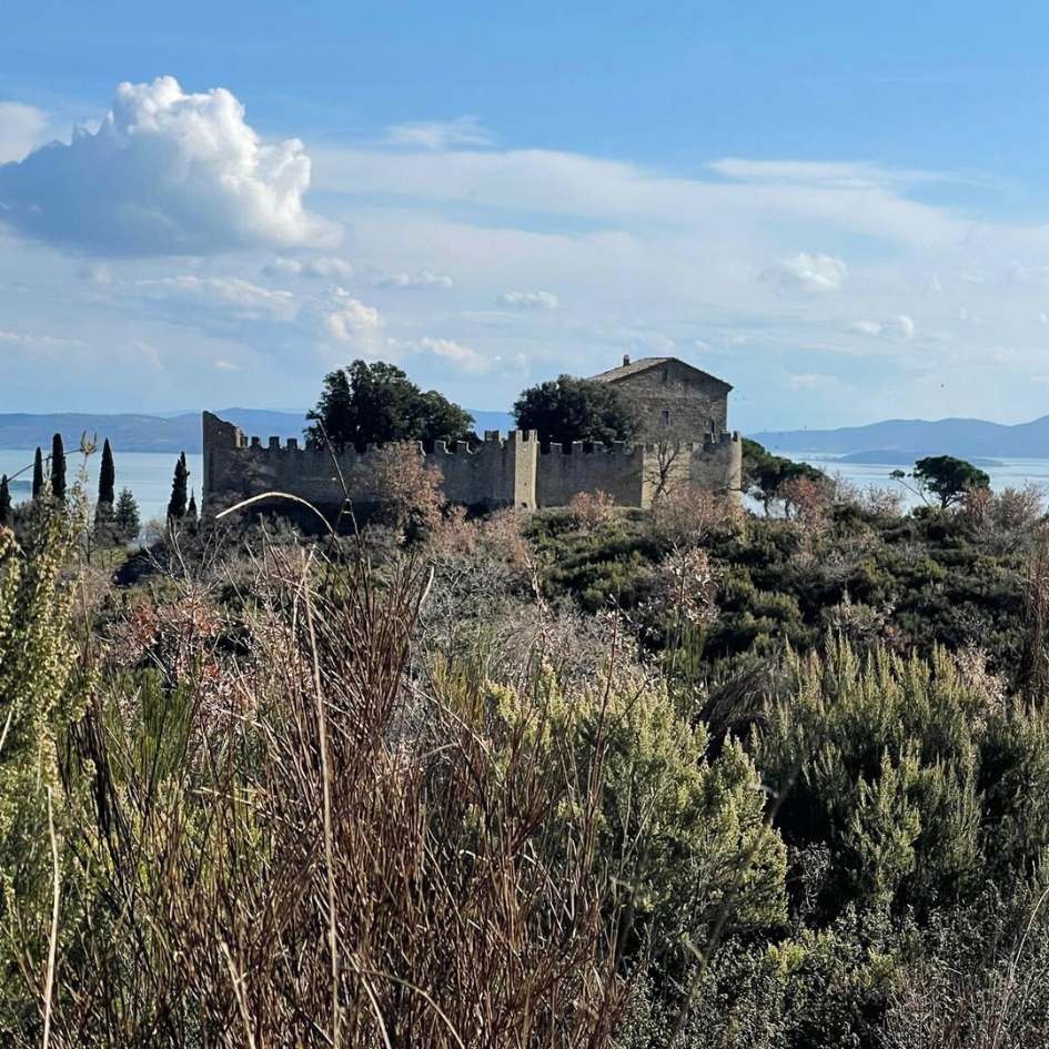 Emozioni sotto l'Albero sul Lago - immagine 8