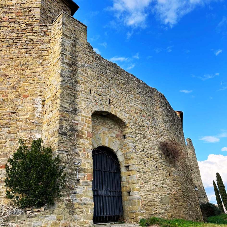 Emozioni sotto l'Albero sul Lago - immagine 7