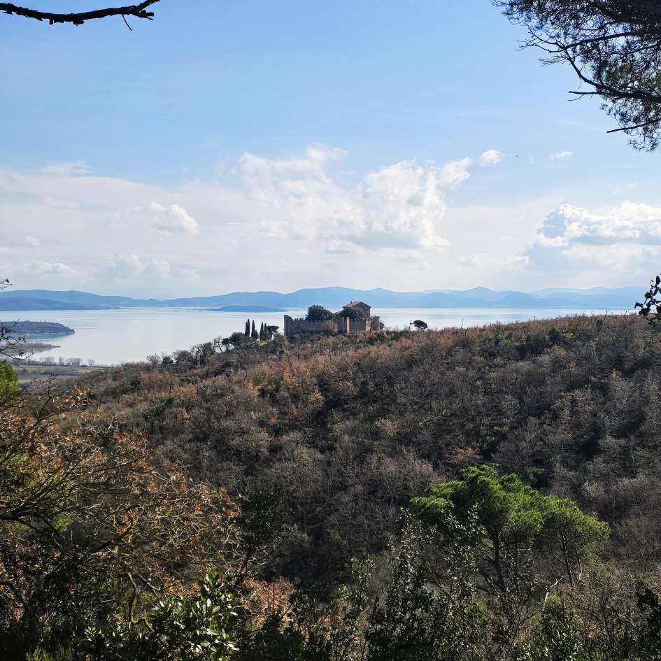 Emozioni sotto l'Albero sul Lago - immagine 17