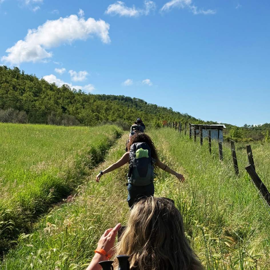 Il Cammino Dell'Intrepido Larth - immagine 2