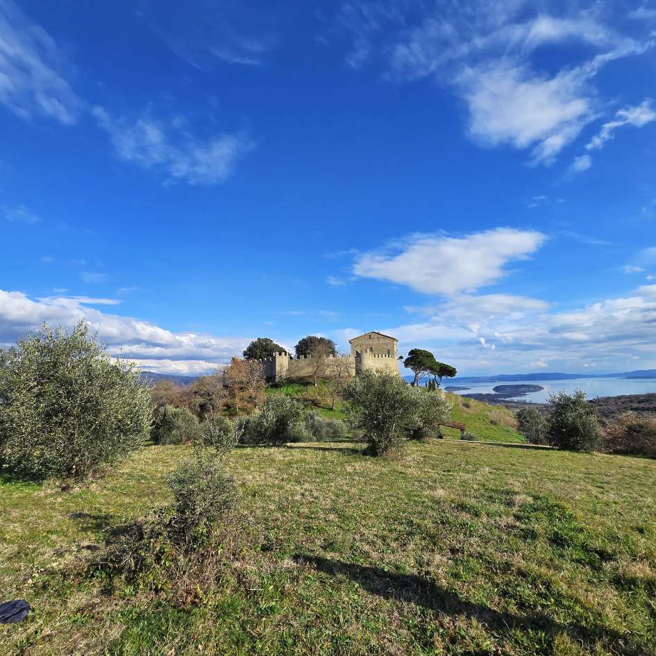 Emozioni sotto l'Albero sul Lago - immagine 12