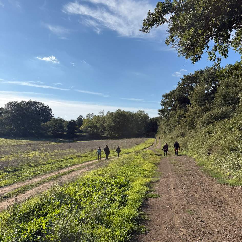 Il Cammino Dell'Intrepido Larth - immagine 18