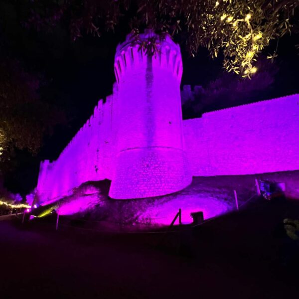 Emozioni sotto l'Albero sul Lago - immagine 2