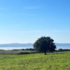 Il Cammino Dell'Intrepido Larth - immagine 3