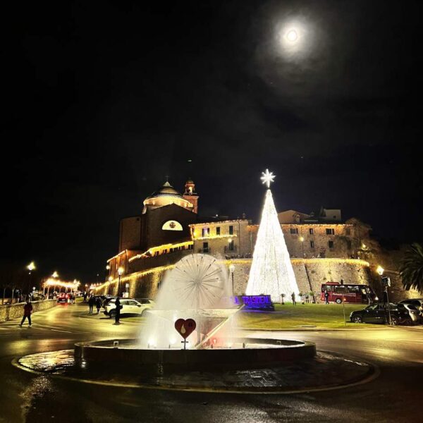 Emozioni sotto l'Albero sul Lago - immagine 9