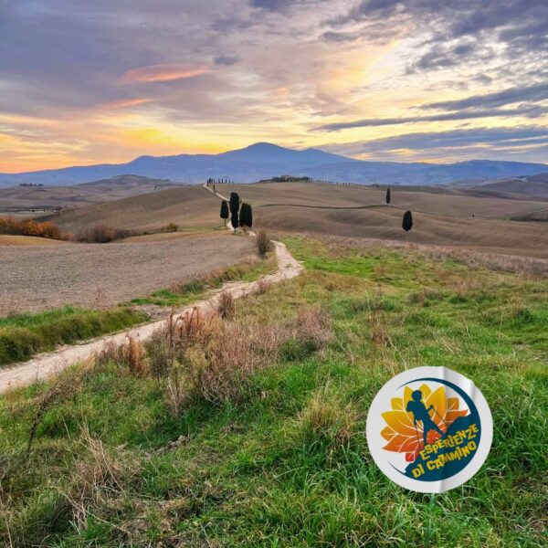 Full Immersion in Val D'Orcia