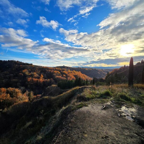 Avventura a Monte Oliveto Maggiore - immagine 8