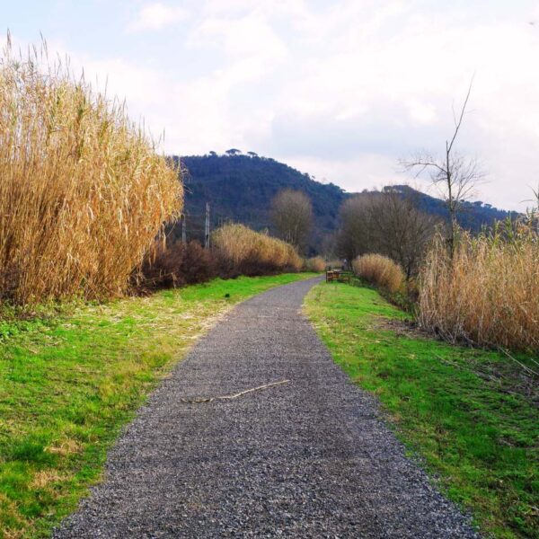 La Via dell'Arno - immagine 4