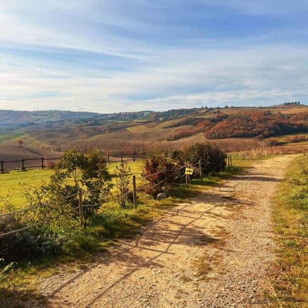 Full Immersion in Val D'Orcia - immagine 6