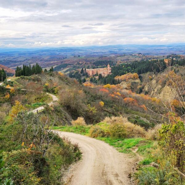 Avventura a Monte Oliveto Maggiore - immagine 4