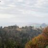 La Valle Segreta dei Canyon - immagine 6