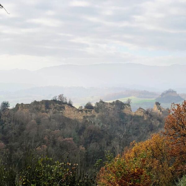 La Valle Segreta dei Canyon - immagine 6