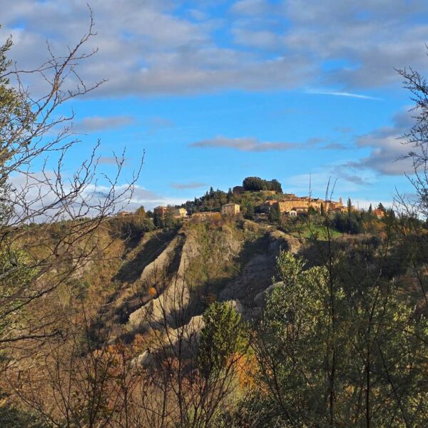 Avventura a Monte Oliveto Maggiore - immagine 6