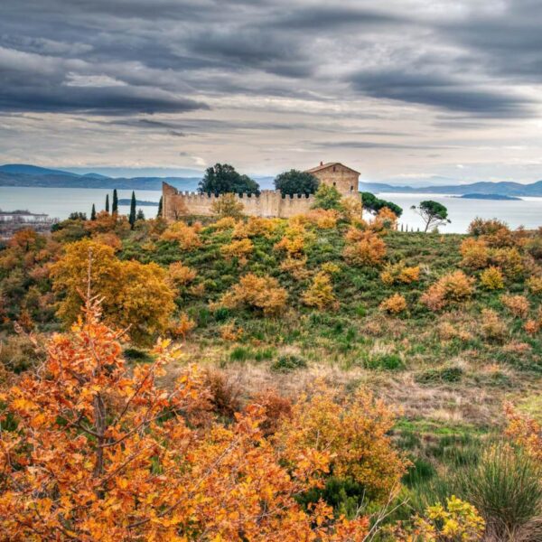 Terrazza con Vista sul Lago Trasimeno - immagine 7