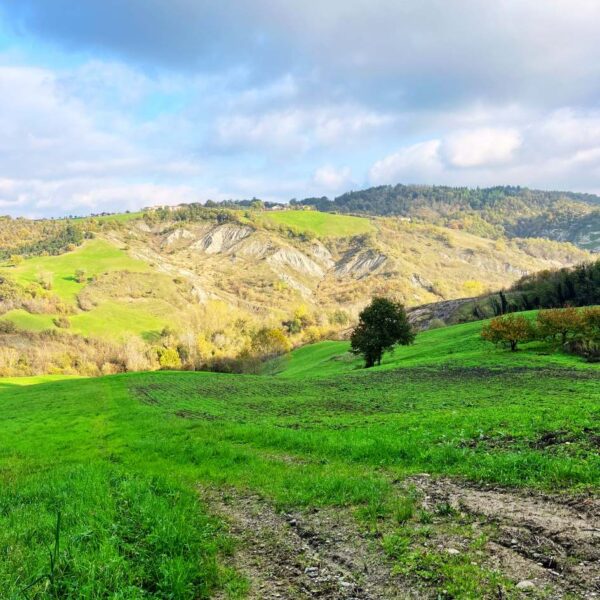 Pasquetta ai Sassi di Rocca Malatina - immagine 5