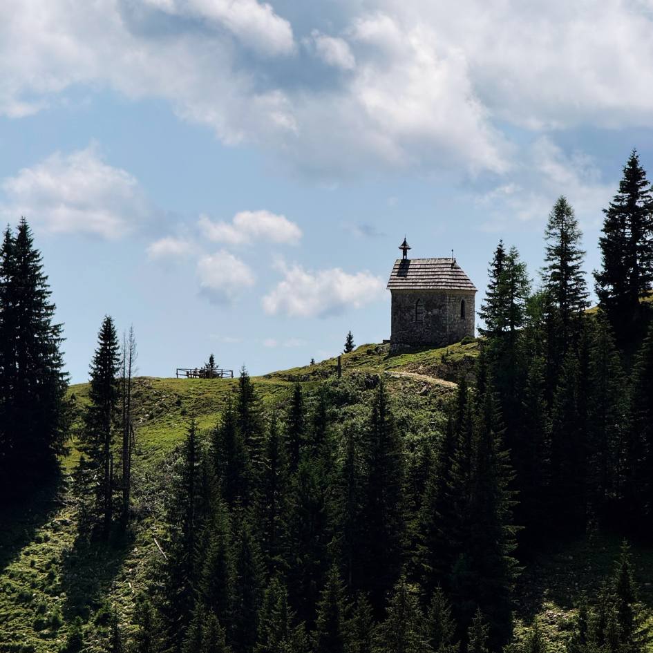 NEL REGNO SEGRETO DELLE ALPI GIULIE - immagine 11