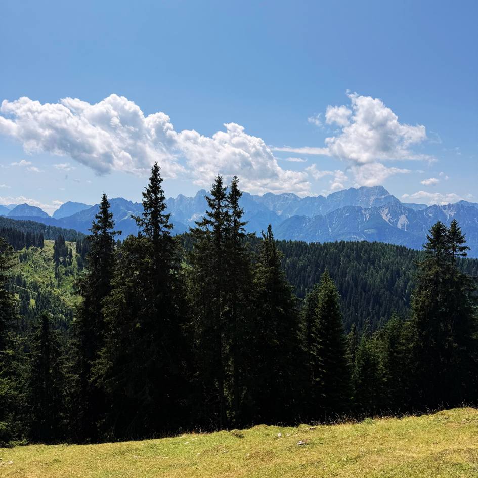 NEL REGNO SEGRETO DELLE ALPI GIULIE - immagine 30