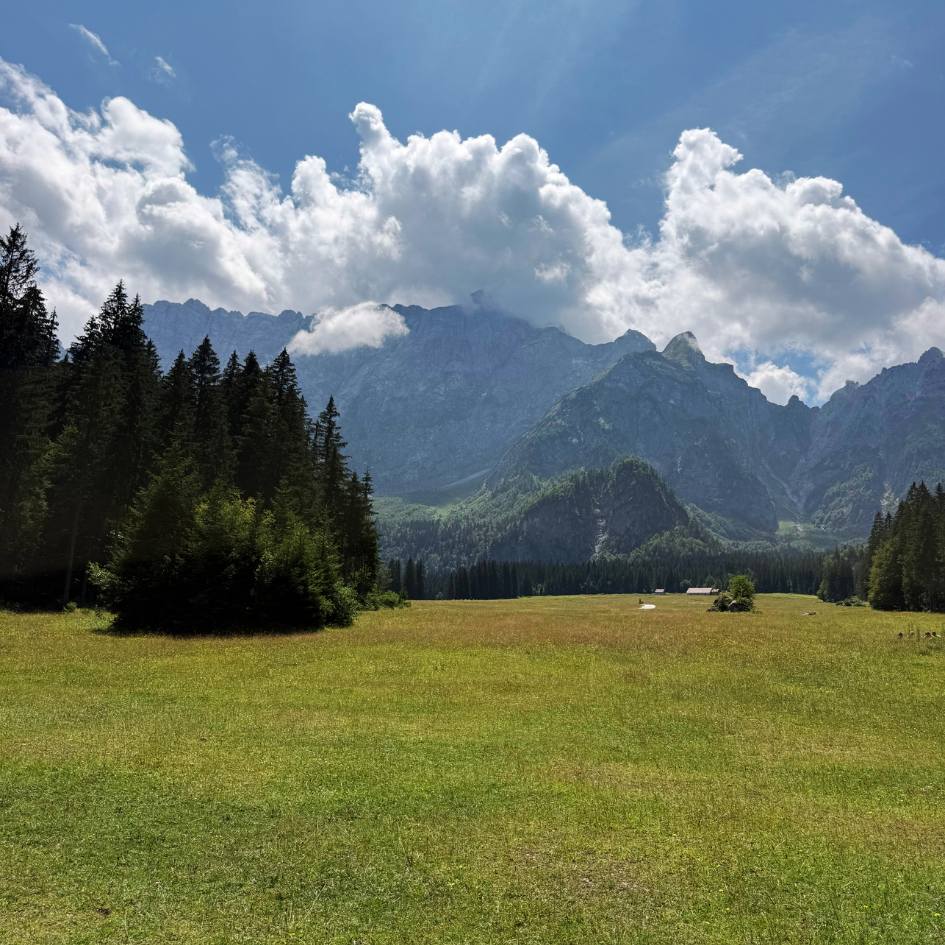 NEL REGNO SEGRETO DELLE ALPI GIULIE - immagine 17