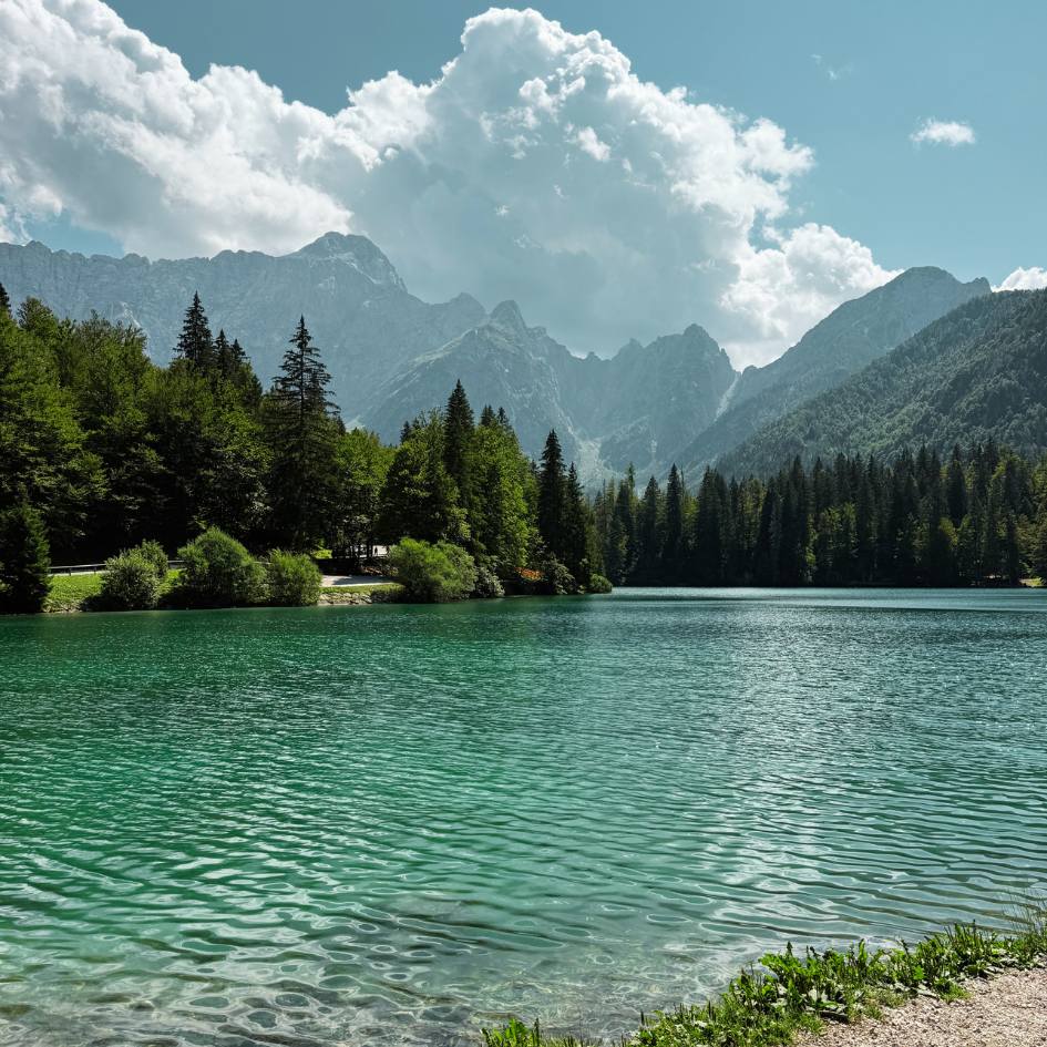 NEL REGNO SEGRETO DELLE ALPI GIULIE - immagine 18