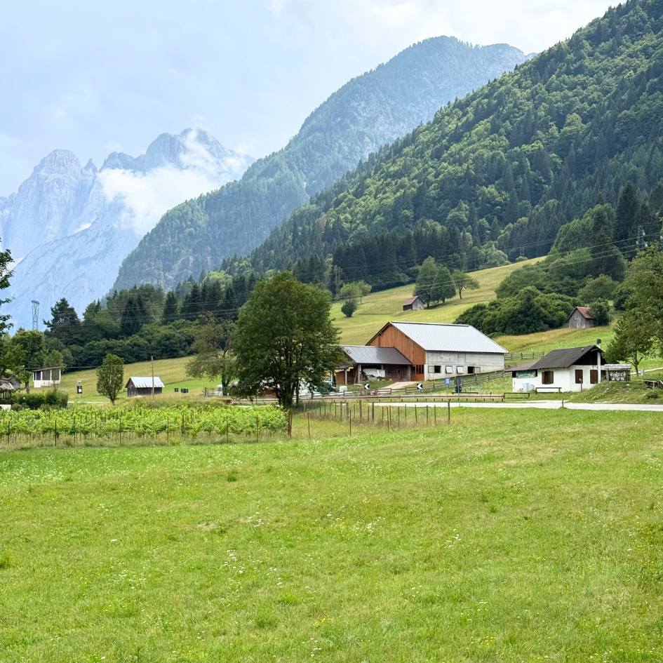 NEL REGNO SEGRETO DELLE ALPI GIULIE - immagine 27