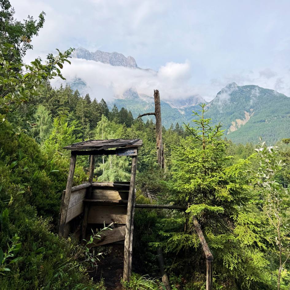 NEL REGNO SEGRETO DELLE ALPI GIULIE - immagine 28