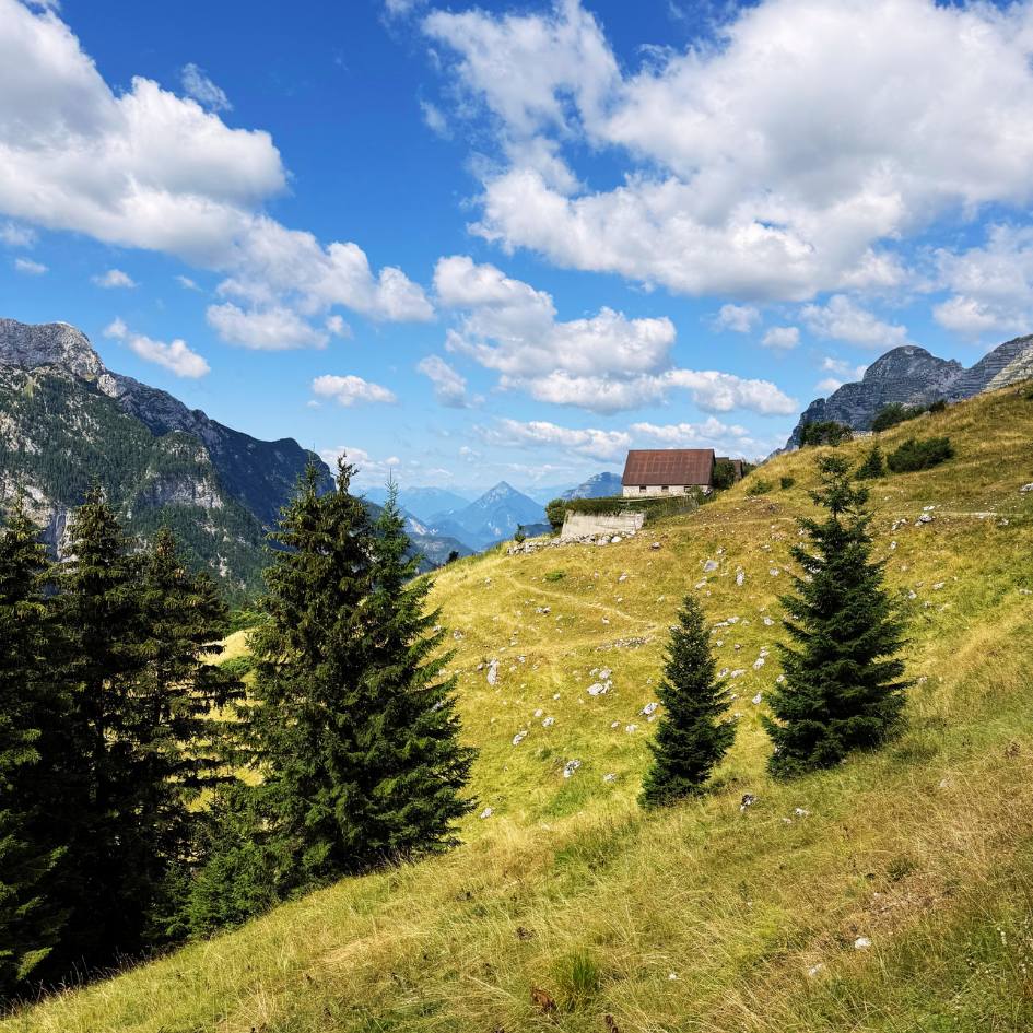 NEL REGNO SEGRETO DELLE ALPI GIULIE - immagine 21