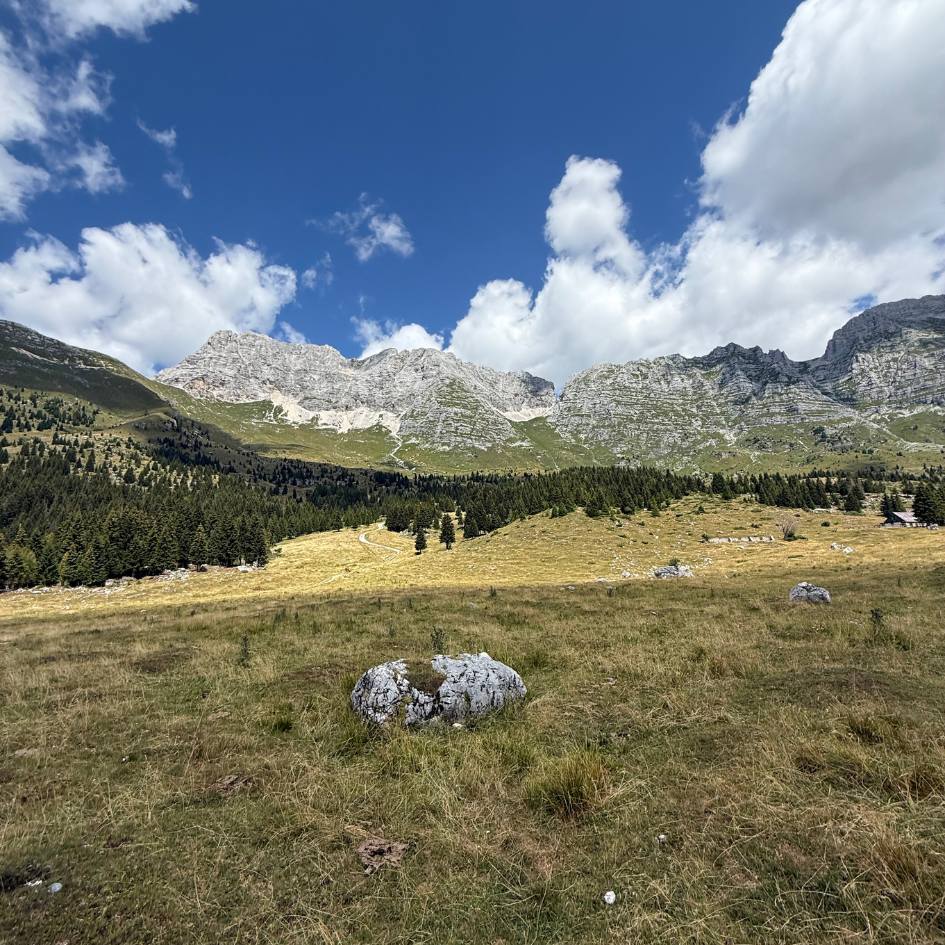 NEL REGNO SEGRETO DELLE ALPI GIULIE - immagine 34
