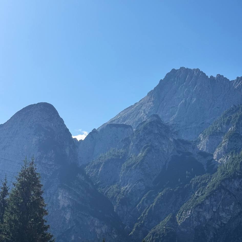 NEL REGNO SEGRETO DELLE ALPI GIULIE - immagine 36