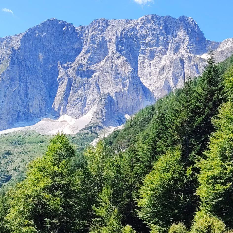 NEL REGNO SEGRETO DELLE ALPI GIULIE - immagine 38