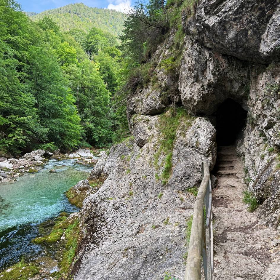 NEL REGNO SEGRETO DELLE ALPI GIULIE - immagine 39