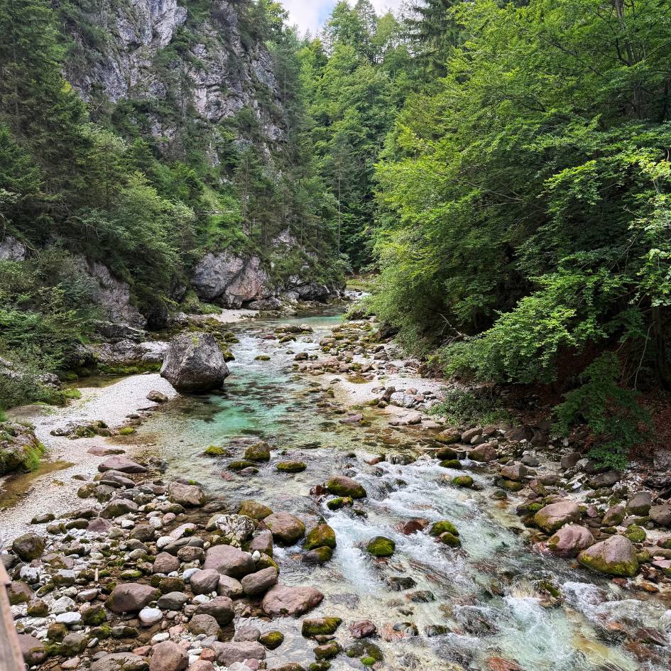 NEL REGNO SEGRETO DELLE ALPI GIULIE - immagine 26