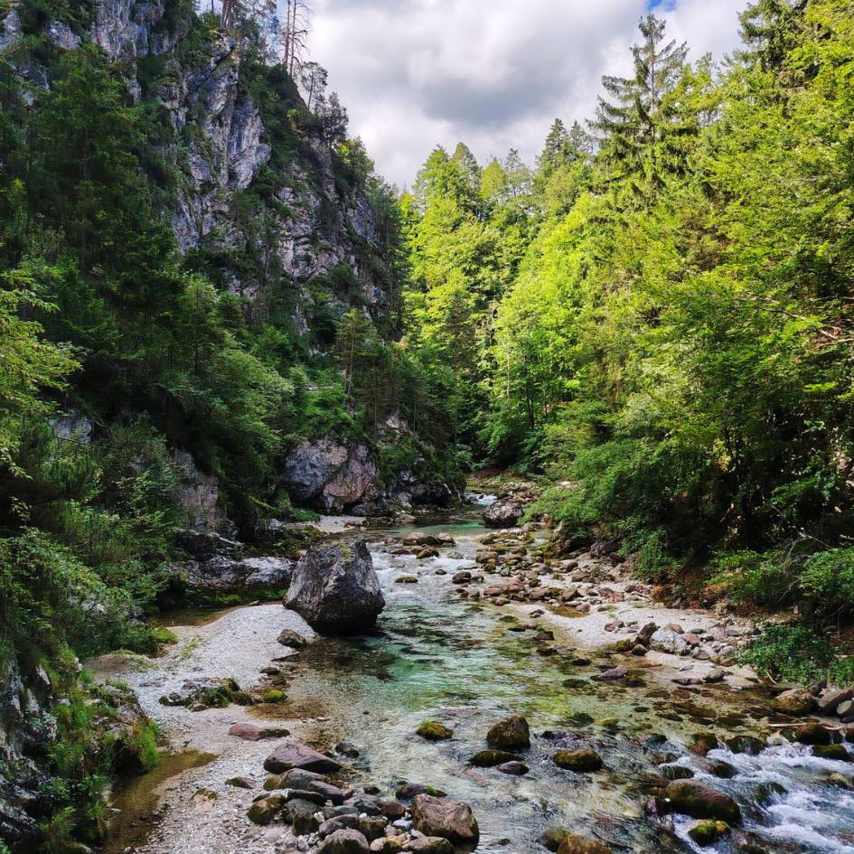 NEL REGNO SEGRETO DELLE ALPI GIULIE - immagine 31