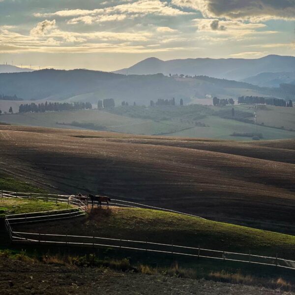 Alla scoperta del Teatro del Silenzio - immagine 5