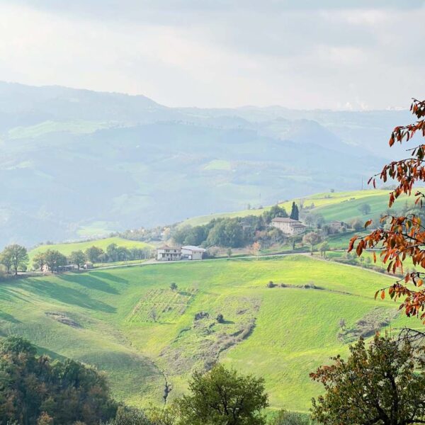 Pasquetta ai Sassi di Rocca Malatina - immagine 3